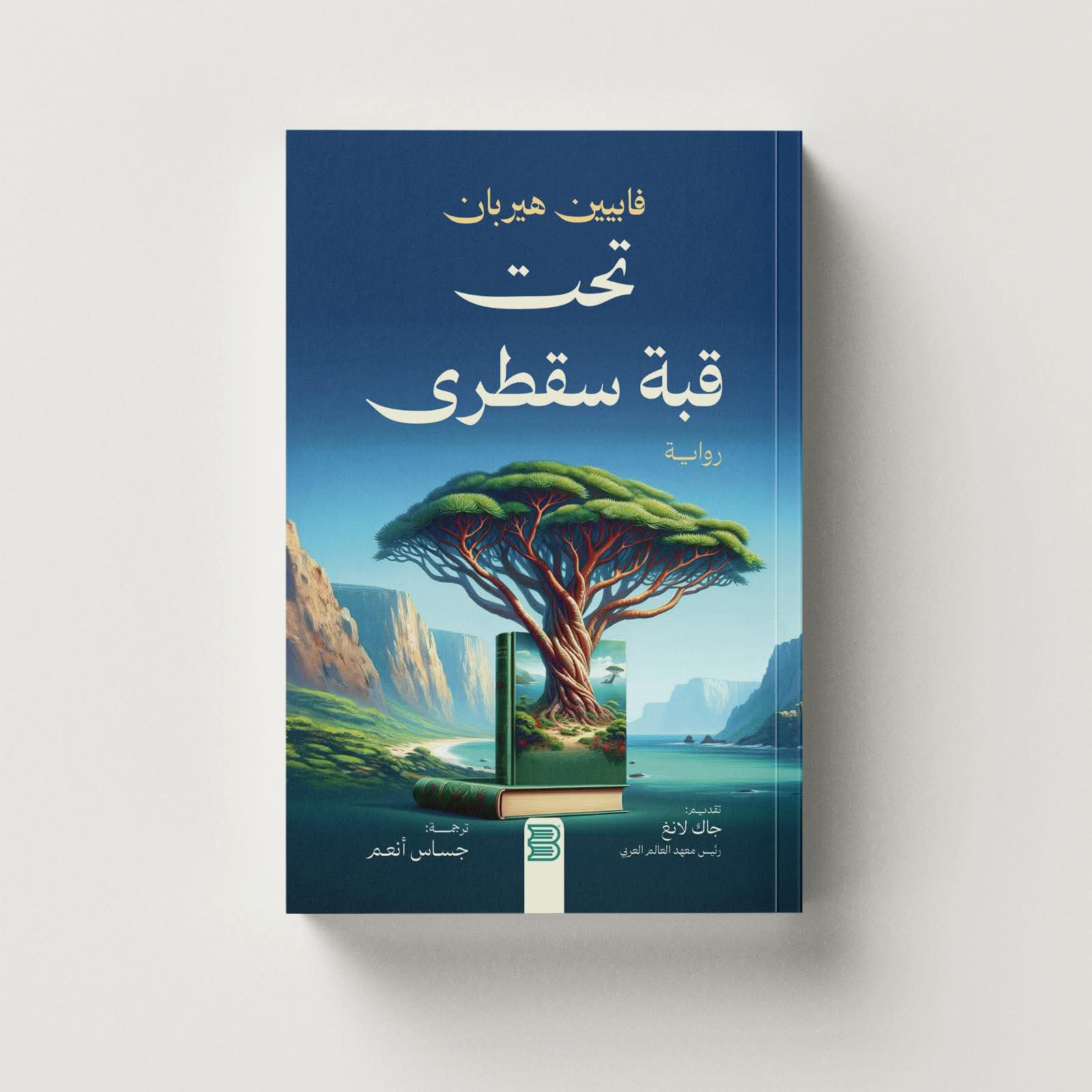 "تحت قُبّة سقطرى" .. رواية فرنسية مترجمة تكشف سحر اليمن للقارئ العربي