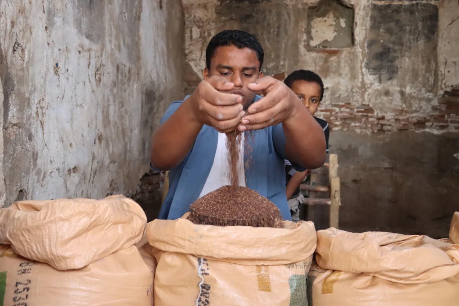 "يوم السمسم اليمني".. مهرجان سنوي يعزز المنتج المحلي بالحديدة