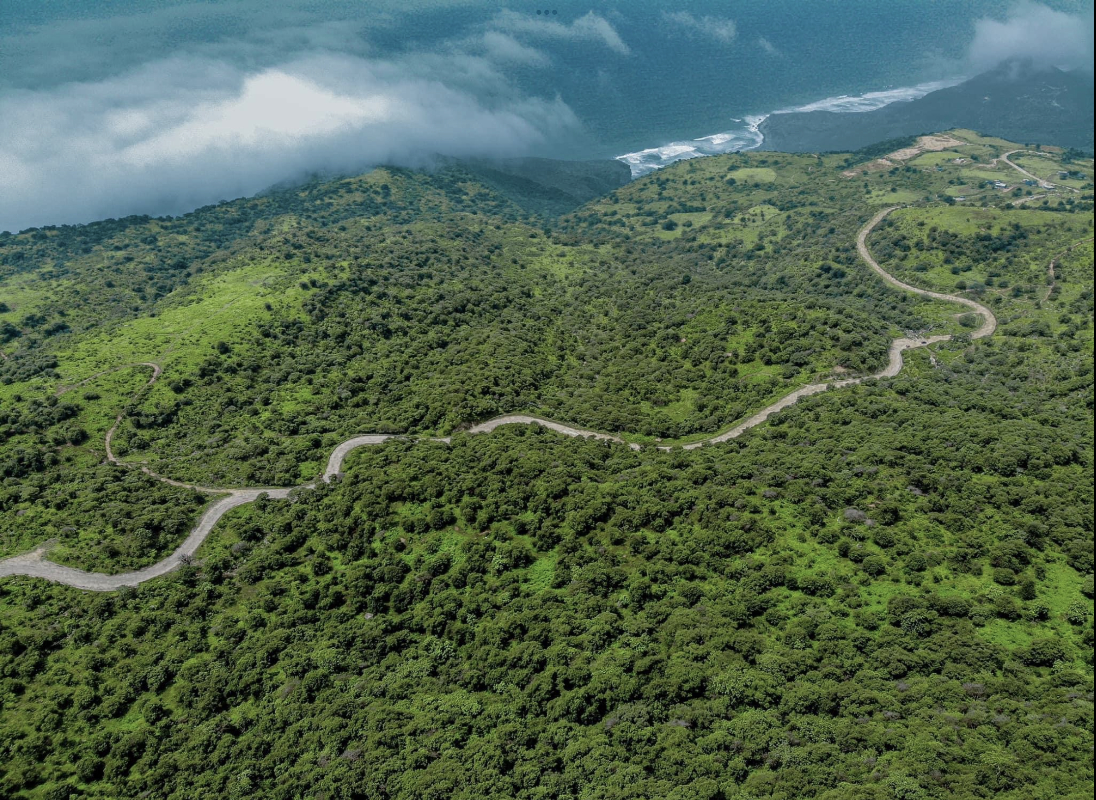 جنة الضباب والخُضرة.. رحلة استكشاف إلى أسرار محمية حوف